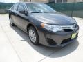 Magnetic Gray Metallic - Camry LE Photo No. 1