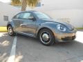 Platinum Gray Metallic - Beetle 2.5L Photo No. 1