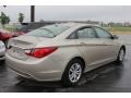 Camel Pearl - Sonata GLS Photo No. 13
