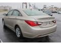Camel Pearl - Sonata GLS Photo No. 23