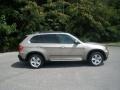Platinum Bronze Metallic - X5 4.8i Photo No. 2