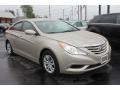 Camel Pearl - Sonata GLS Photo No. 26