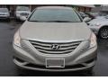 Camel Pearl - Sonata GLS Photo No. 27