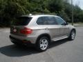 Platinum Bronze Metallic - X5 4.8i Photo No. 7