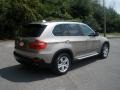 2007 Platinum Bronze Metallic BMW X5 4.8i  photo #7