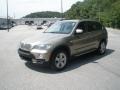 2007 Platinum Bronze Metallic BMW X5 4.8i  photo #11