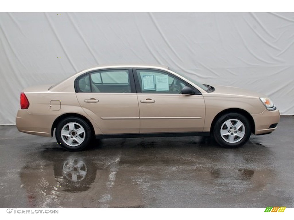 2005 Malibu LS V6 Sedan - Light Driftwood Metallic / Neutral Beige photo #10