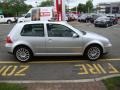 Reflex Silver Metallic - GTI 1.8T Photo No. 28