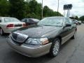 Charcoal Beige Metallic 2007 Lincoln Town Car Signature
