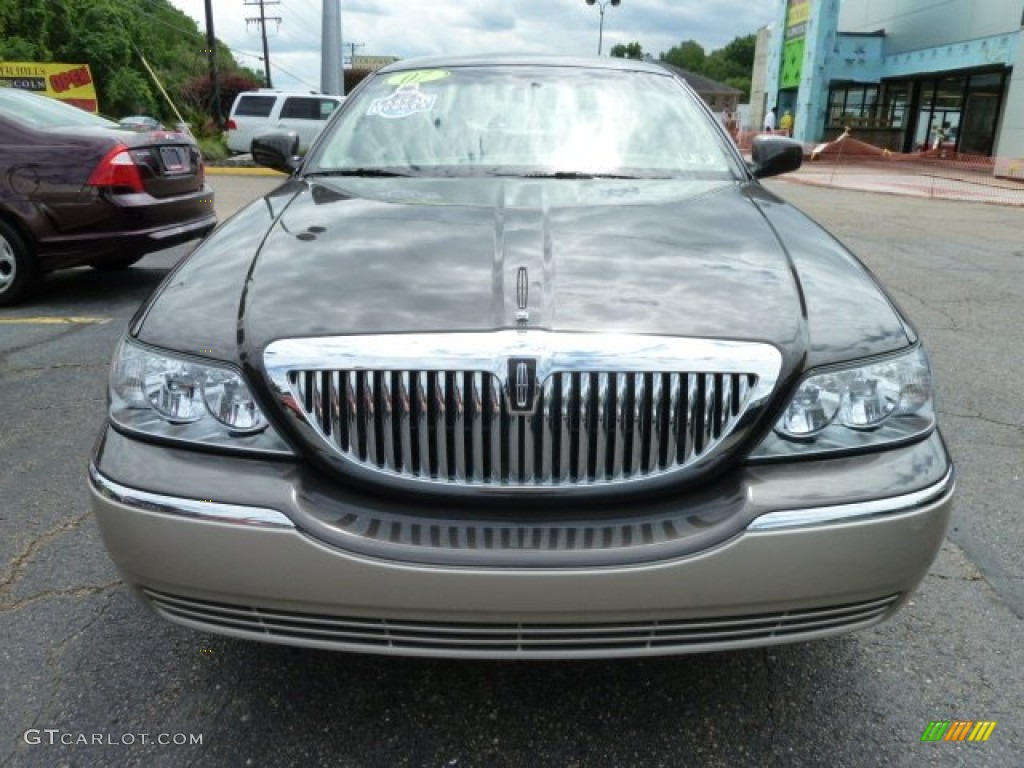2007 Town Car Signature - Charcoal Beige Metallic / Light Camel photo #6
