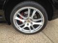 2009 Porsche Cayenne Turbo S Wheel and Tire Photo
