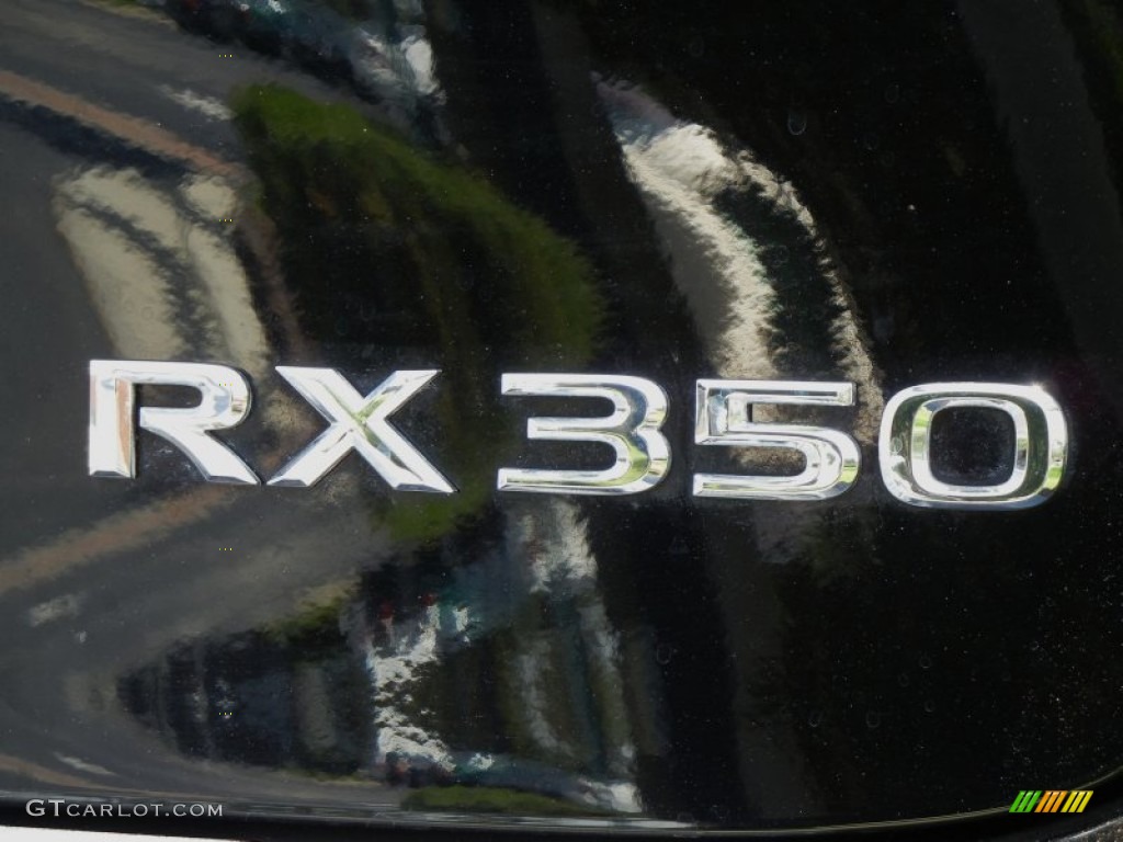 2010 RX 350 - Black Sapphire Pearl / Parchment/Brown Walnut photo #12