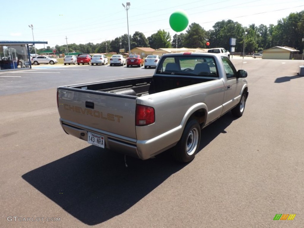 1999 S10 Regular Cab - Light Pewter Metallic / Graphite photo #5