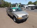 1999 Light Pewter Metallic Chevrolet S10 Regular Cab  photo #7