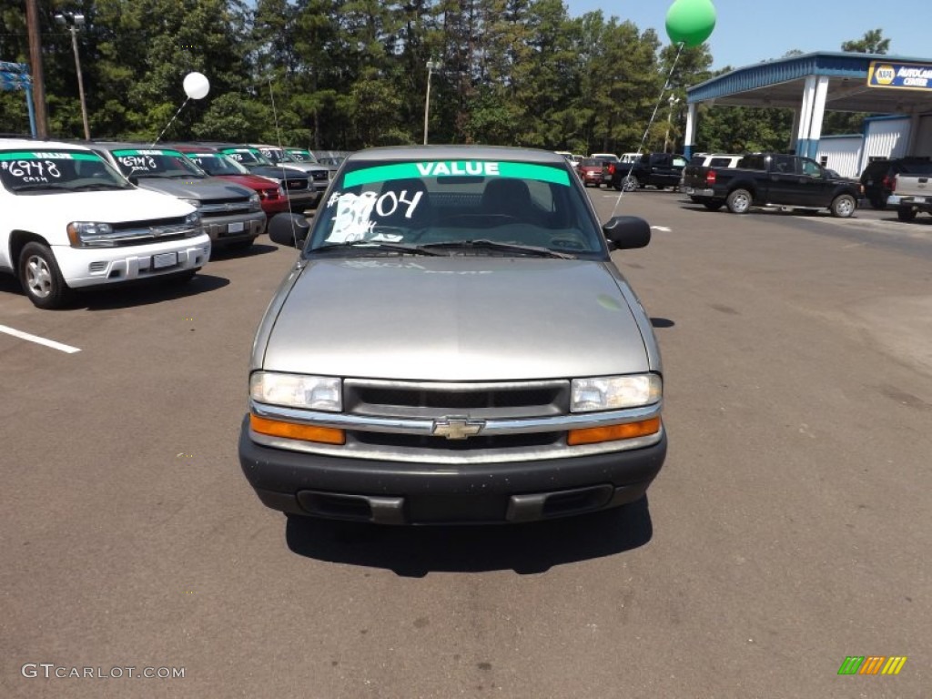 1999 S10 Regular Cab - Light Pewter Metallic / Graphite photo #8