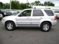 Silver Metallic 2006 Ford Escape Limited Exterior