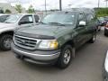 2002 Estate Green Metallic Ford F150 XLT Regular Cab  photo #3