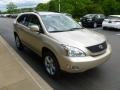 Savannah Beige Metallic - RX 330 AWD Photo No. 6