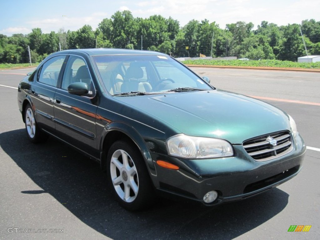 2000 Maxima SE - Sherwood Green Metallic / Blond photo #2