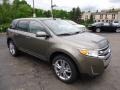 Mineral Gray Metallic 2013 Ford Edge Limited AWD Exterior