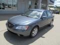 Willow Gray - Sonata GLS Photo No. 2