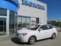 Nordic White - Elantra GLS Photo No. 1