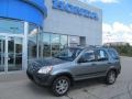 Silver Moss Metallic - CR-V LX 4WD Photo No. 1