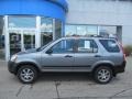 Silver Moss Metallic - CR-V LX 4WD Photo No. 2