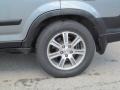 Silver Moss Metallic - CR-V LX 4WD Photo No. 3