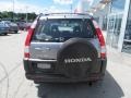 Silver Moss Metallic - CR-V LX 4WD Photo No. 6