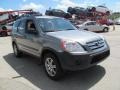 Silver Moss Metallic - CR-V LX 4WD Photo No. 9