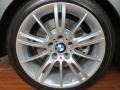 2010 Space Gray Metallic BMW 3 Series 335i Sedan  photo #21