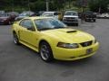 Zinc Yellow Metallic 2001 Ford Mustang GT Coupe Exterior