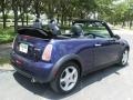 Purple Haze Metallic - Cooper Convertible Photo No. 6