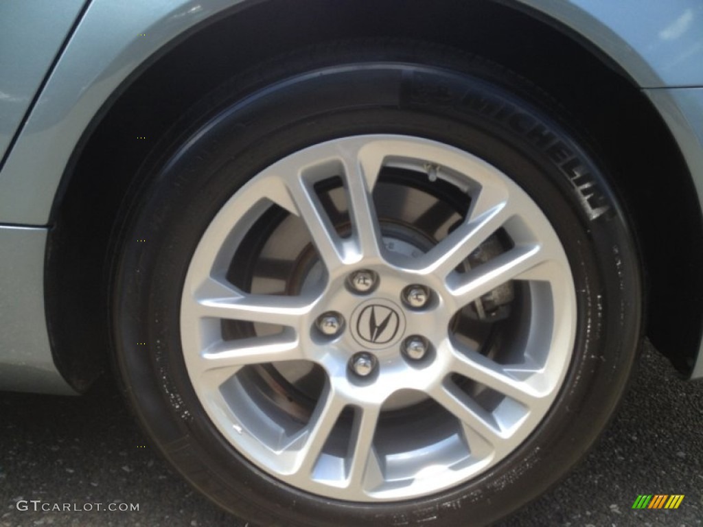 2010 Acura TL 3.5 Technology Wheel Photo #66227165