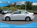 Porcelain White Pearl - Sonata Hybrid Photo No. 2
