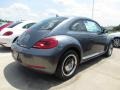 Platinum Gray Metallic - Beetle 2.5L Photo No. 2