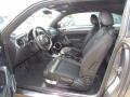 Platinum Gray Metallic - Beetle 2.5L Photo No. 3