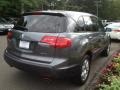 2009 Sterling Gray Metallic Acura MDX Technology  photo #8