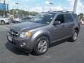 2010 Sterling Grey Metallic Ford Escape XLT  photo #23