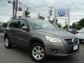 Alpine Grey Metallic - Tiguan S Photo No. 1