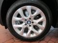 Titanium Silver Metallic - X5 xDrive 35i Photo No. 6
