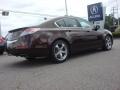 2009 Mayan Bronze Metallic Acura TL 3.7 SH-AWD  photo #5