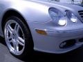 Brilliant Silver Metallic - CL 500 Photo No. 2