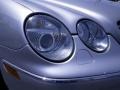 Brilliant Silver Metallic - CL 500 Photo No. 3