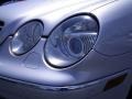 Brilliant Silver Metallic - CL 500 Photo No. 5