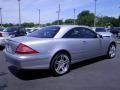 Brilliant Silver Metallic - CL 500 Photo No. 15