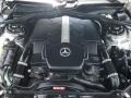 Brilliant Silver Metallic - CL 500 Photo No. 41