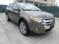 Mineral Gray Metallic 2013 Ford Edge Limited EcoBoost Exterior