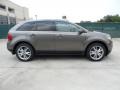 2013 Mineral Gray Metallic Ford Edge Limited EcoBoost  photo #2
